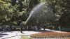 DE NECREZUT: Poliţiştii au reţinut un tânăr care uda nişte plante lângă un parc din Chişinău