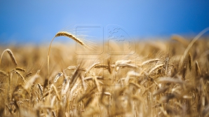 AVERTISMENTUL meteorologilor: COD GALBEN DE CANICULĂ. Recomandările specialiştilor