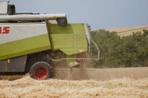 Măsurile anunțate de ministrul Agriculturii pentru soluționarea crizei din sectorul agricol