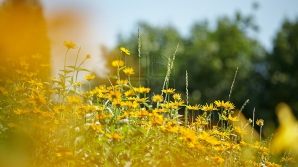 Prima zi de weekend ne aduce vreme instabilă! Care vor fi maximele termice 