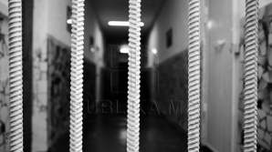 Cei patru reprezentanţi ai conducerii firmei "Caravita" au fost ARESTAŢI pentru 30 de zile