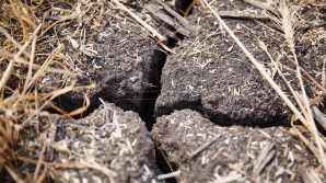 Se anunţă ZILE DE FOC! Cum va fi vremea în condiţii de Cod Portocaliu