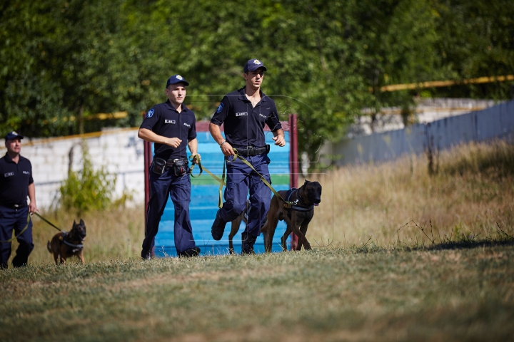 Au căutat droguri, grenade şi un om dispărut. Câinii poliţişti, urmăriţi atent de zeci de copii (FOTO)