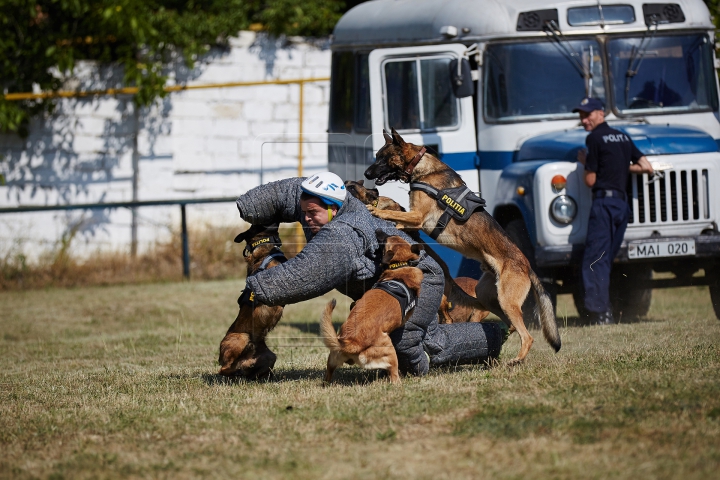 Au căutat droguri, grenade şi un om dispărut. Câinii poliţişti, urmăriţi atent de zeci de copii (FOTO)