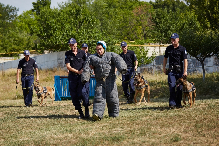 Au căutat droguri, grenade şi un om dispărut. Câinii poliţişti, urmăriţi atent de zeci de copii (FOTO)