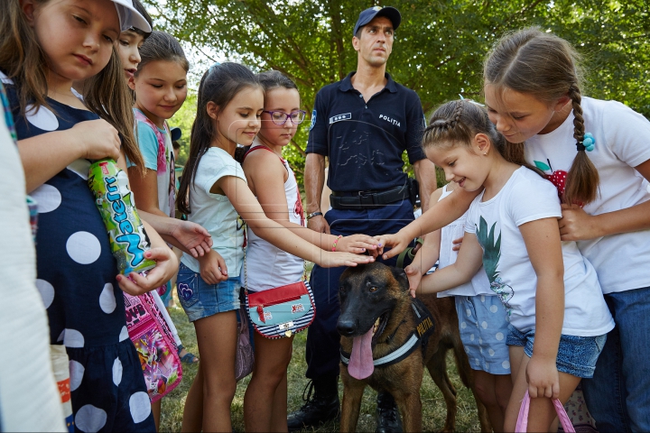 Au căutat droguri, grenade şi un om dispărut. Câinii poliţişti, urmăriţi atent de zeci de copii (FOTO)