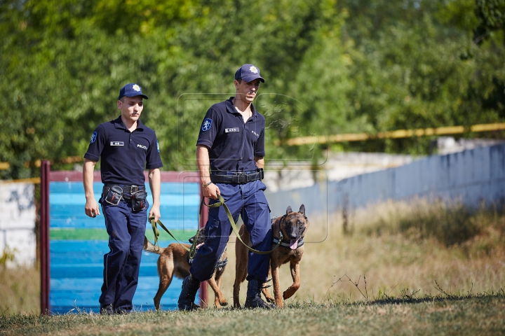 Au căutat droguri, grenade şi un om dispărut. Câinii poliţişti, urmăriţi atent de zeci de copii (FOTO)