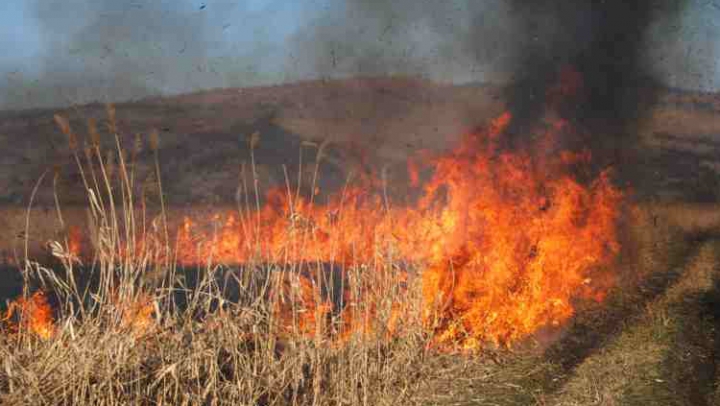 Incendiile de vegetaţie de la Cernobîl NU CONTENESC. Peste o sută de pompieri luptă să stingă flăcările