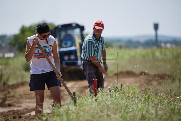 DESCOPERIRE ISTORICĂ în sudul ţării! Ce se află sub pământ îi uimeşte pe specialişti (FOTOREPORT)