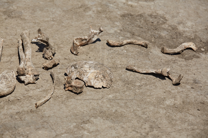 DESCOPERIRE ISTORICĂ în sudul ţării! Ce se află sub pământ îi uimeşte pe specialişti (FOTOREPORT)