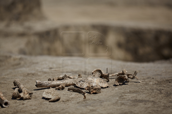 DESCOPERIRE ISTORICĂ în sudul ţării! Ce se află sub pământ îi uimeşte pe specialişti (FOTOREPORT)