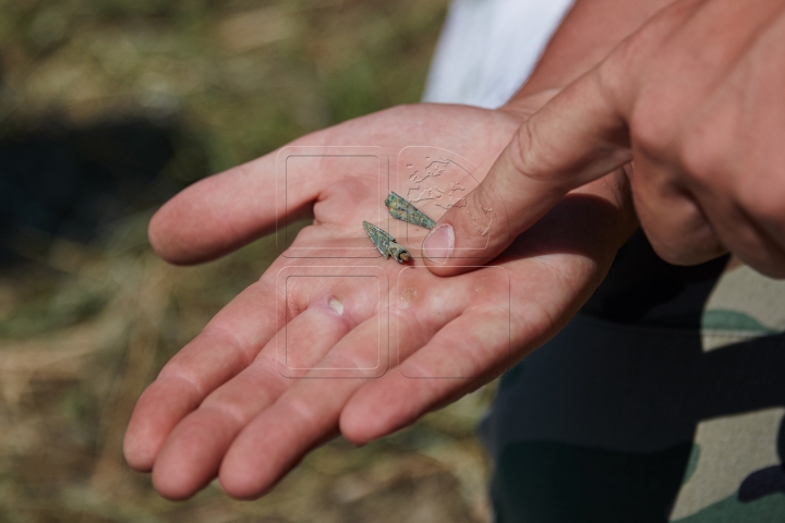 DESCOPERIRE ISTORICĂ în sudul ţării! Ce se află sub pământ îi uimeşte pe specialişti (FOTOREPORT)