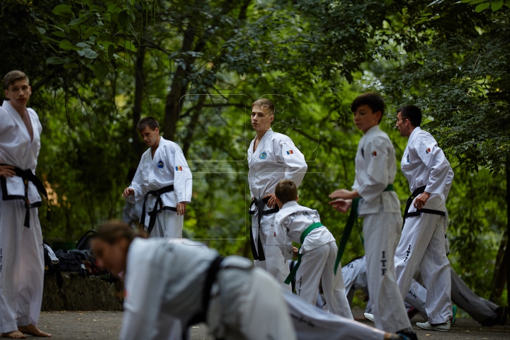 Campionatul European de taekwond-do, în Moldova! FOTOREPORT din timpul pregătirilor