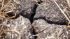 Moldova SE USUCĂ! Rezervele de umiditate pe o parte din teritoriul țării au ajuns la pragul critic