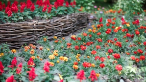 Temperaturi caniculare în următoarele zile. Când ar putea să plouă