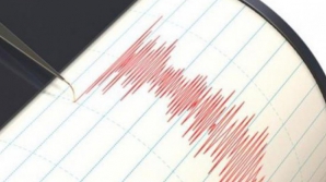 S-a zguduit Pământul! În Vrancea a avut loc un nou CUTREMUR