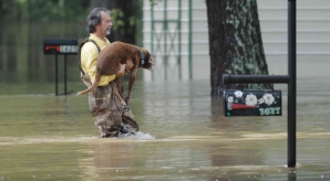 Natura face RAVAGII în Georgia! Mai multe sate şi oraşe au fost inundate într-o singură noapte