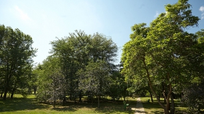 METEO 16 august 2015. Meteorologii prezic o zi fierbinte, fără precipitaţii