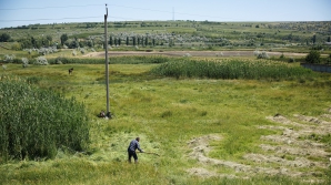 Sătenii se pregătesc de iarnă. Femeile fac conserve, bărbaţii însă... 
