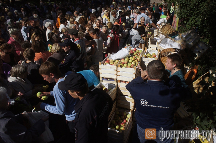 Bătaie pentru merele moldoveneşti. Ce s-a întâmplat cu două tone de fructe la Sankt Petersburg (VIDEO)