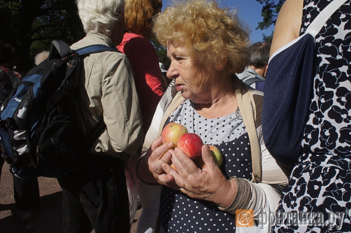 Bătaie pentru merele moldoveneşti. Ce s-a întâmplat cu două tone de fructe la Sankt Petersburg (VIDEO)