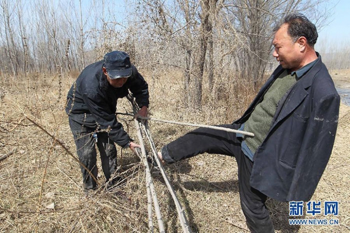 Poveste emoţionantă: Un bărbat orb și prietenul său fără mâini au plantat 10.000 de copaci (FOTO)