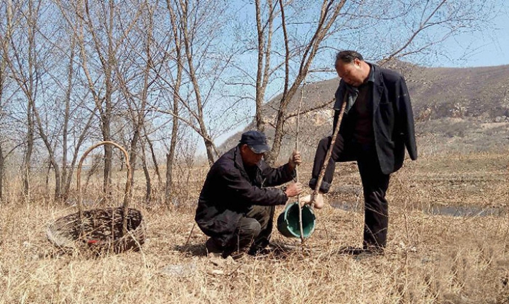 Poveste emoţionantă: Un bărbat orb și prietenul său fără mâini au plantat 10.000 de copaci (FOTO)