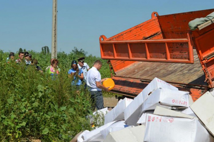 EMBARGO TOTAL: Tone de caşcaval, călcate cu buldozerul în Rusia. Vameşii au inima frântă (FOTO)