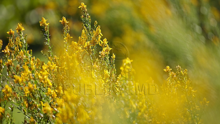 METEO 10 august 2015. Termometrele vor indica temperaturi de peste 30 de grade