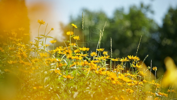 METEO 7 august 2015: Soarele arzător domină întreaga ţară! Câte grade vom avea în termometre