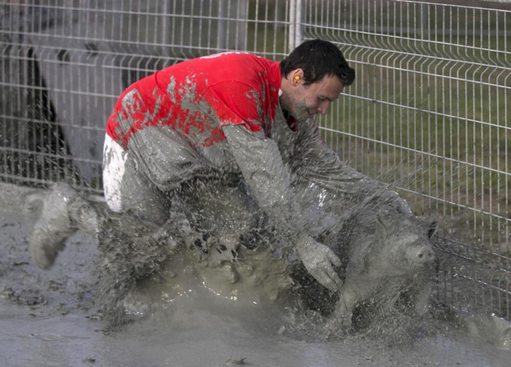 FESTIVAL BIZAR în Canada. Participanţii trebuie să prindă porci prin noroi (GALERIE FOTO/VIDEO)