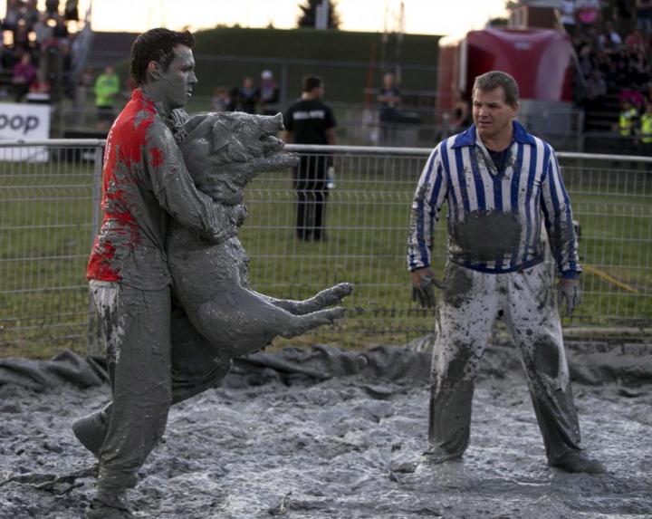 FESTIVAL BIZAR în Canada. Participanţii trebuie să prindă porci prin noroi (GALERIE FOTO/VIDEO)