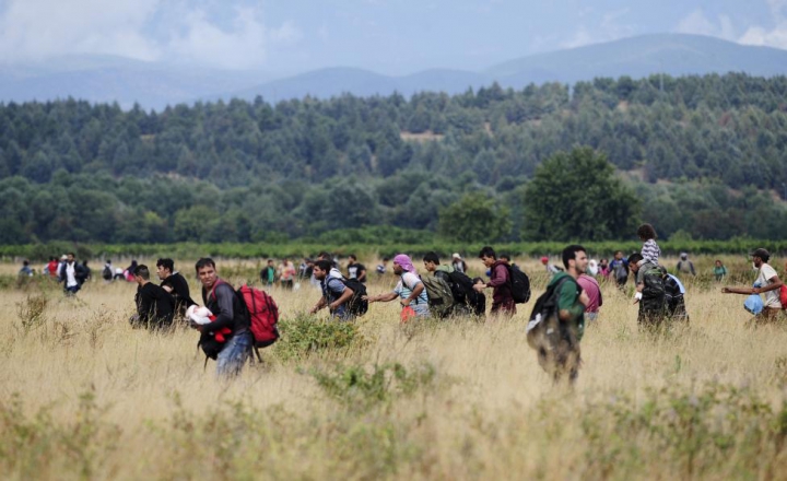 Măsuri RADICALE împotriva imigranţilor. Armata bulgară a trimis blindate la frontieră (FOTOREPORT)