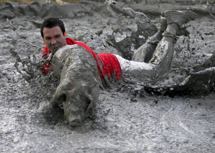 FESTIVAL BIZAR în Canada. Participanţii trebuie să prindă porci prin noroi (GALERIE FOTO/VIDEO)