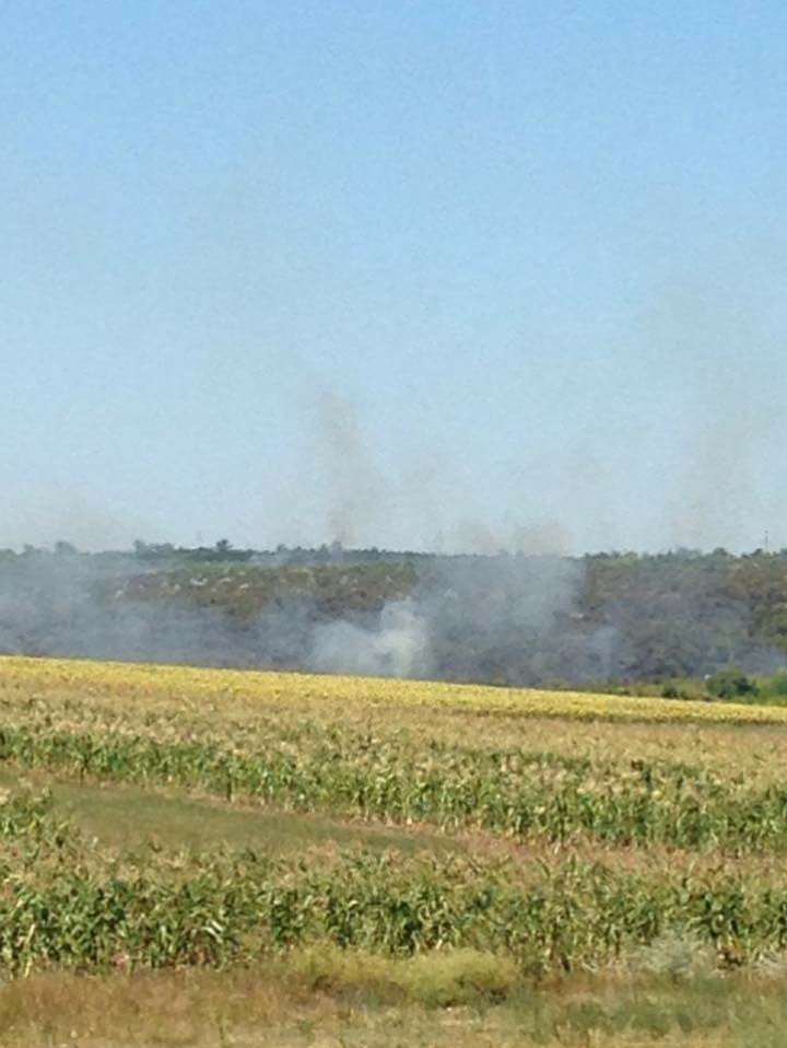 Focare de incendii în ţară! Un câmp din Şoldăneşti, cuprins de flăcări (FOTO)