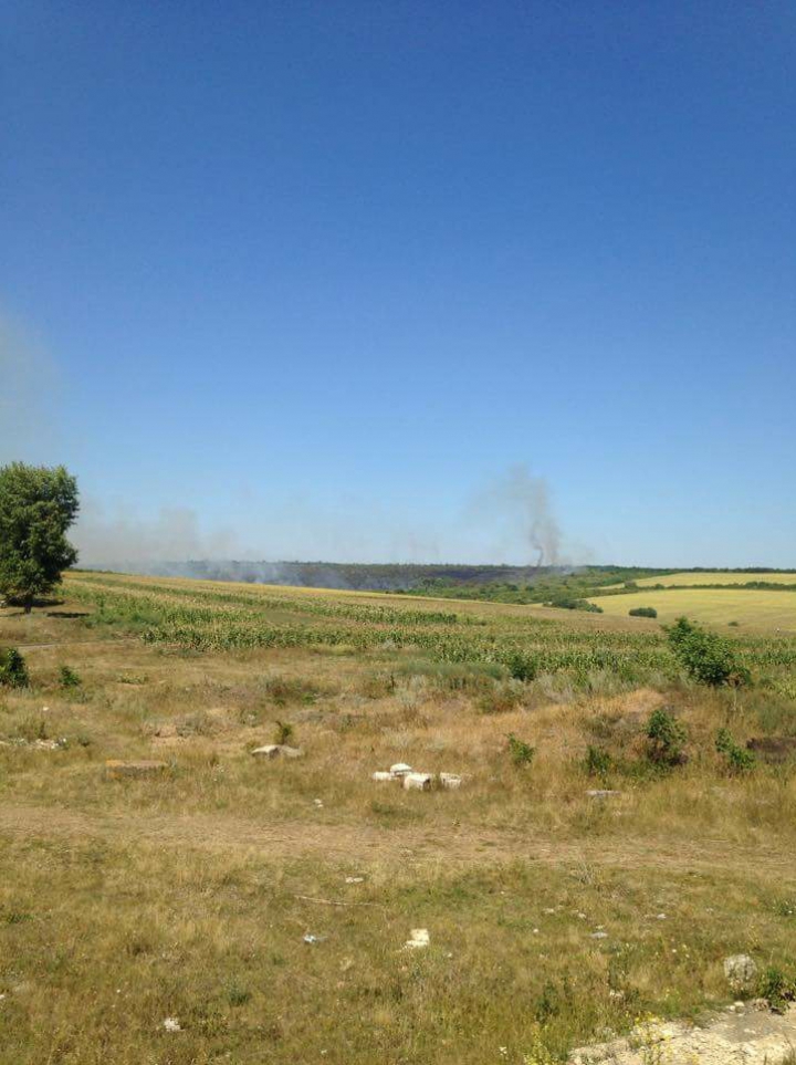 Focare de incendii în ţară! Un câmp din Şoldăneşti, cuprins de flăcări (FOTO)