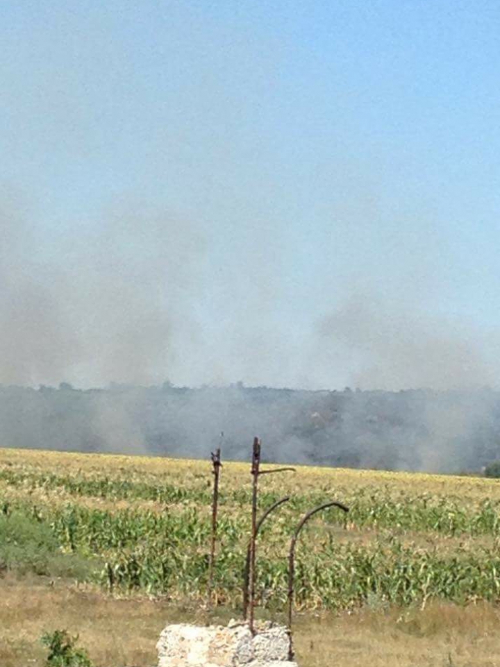 Focare de incendii în ţară! Un câmp din Şoldăneşti, cuprins de flăcări (FOTO)