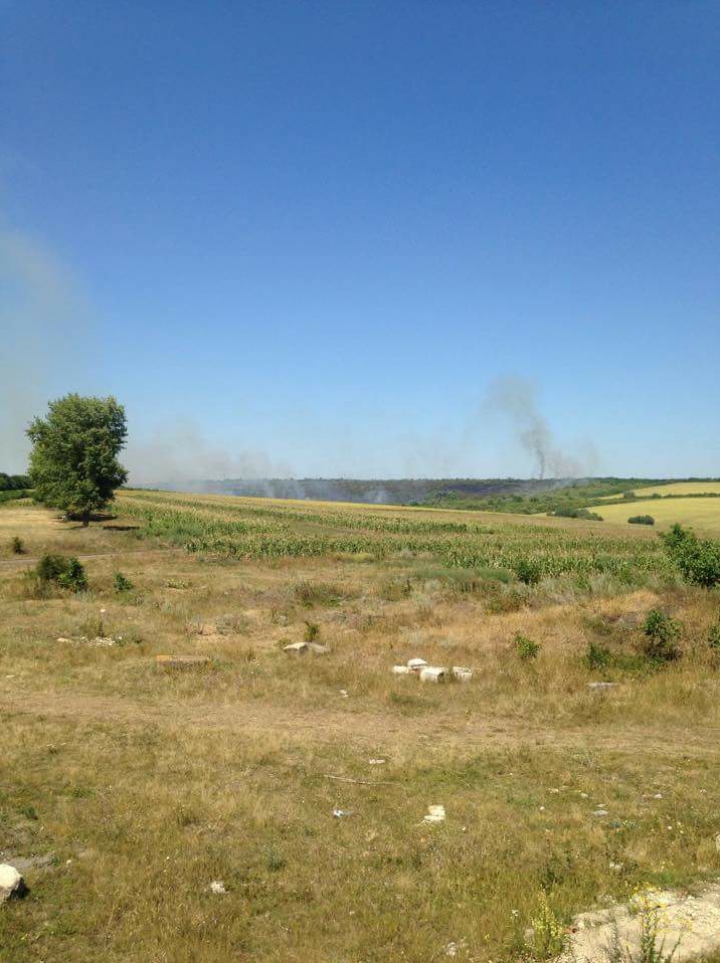 Focare de incendii în ţară! Un câmp din Şoldăneşti, cuprins de flăcări (FOTO)