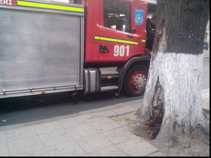 POMPIERII ÎN ALERTĂ! Un copac din centrul Chişinăului a luat foc (VIDEO/FOTO)