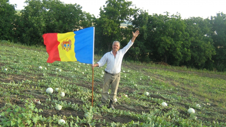 Moldovenii îşi iubesc tricolorul. Imagini frumoase pe care trebuie să le vedeţi şi voi (FOTO)