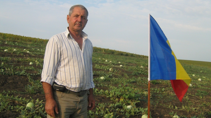 Moldovenii îşi iubesc tricolorul. Imagini frumoase pe care trebuie să le vedeţi şi voi (FOTO)