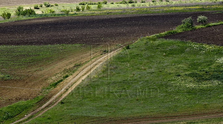 La capătul puterilor. Unii fermieri cer STARE DE URGENŢĂ în agricultură