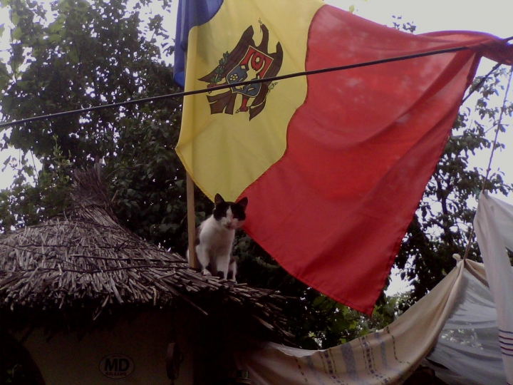 "EU sunt Moldova" ia amploare! Oamenii îşi fac CELE MAI INGENIOASE POZE cu Tricolorul ţării