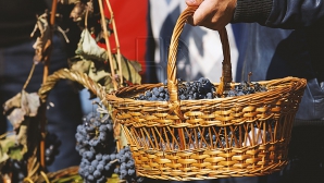 ULTIMA ORĂ! Ministrul Agriculturii a anunţat unde şi cum va fi organizată Ziua Vinului