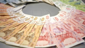 CÂTE MILIOANE va cheltui statul pentru referendumul de modificare a unui articol din Constituţie