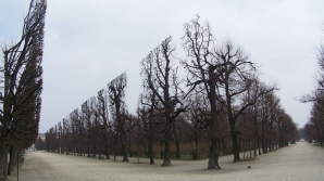 100% REALE! Imagini care îţi taie respiraţia şi te fac să crezi că sunt trucate (FOTOREPORT)