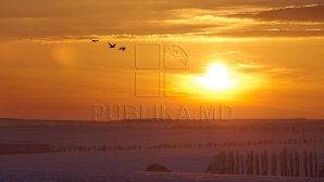 AVERTISMENTUL fără precedent al meteorologilor. Ce se va întâmpla în următorii doi ani pe Terra