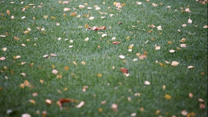 METEO 8 septembrie: Atmosfera de toamnă se face tot mai simţită! Cum va fi vremea