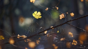 METEO 20 decembrie: Află cum ne va surprinde vremea astăzi şi ce temperaturi ne aşteaptă