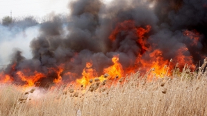 Incendii masive în SUA. Autorităţile au dispus evacuarea a peste 2.700 de oameni